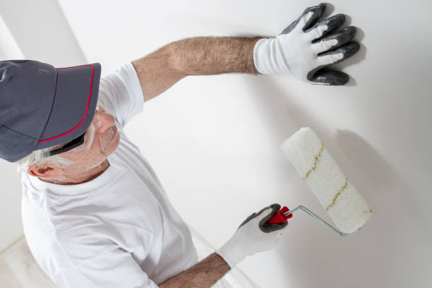 Reliable Fort Dodge, IA Painting & Drywall Installation Solutions